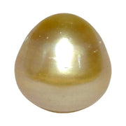 Oval Drop 16.1 x 16.4mm 29.2 Carats Rich Gold South Sea Pearl Loose