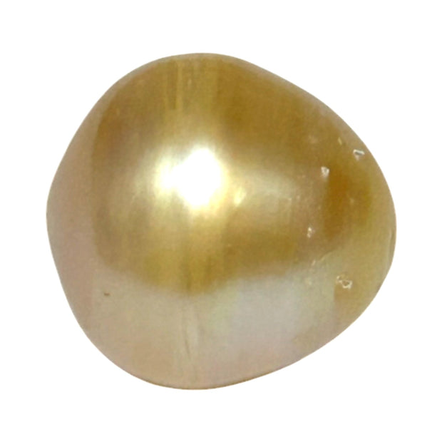 Oval Drop 16.1 x 16.4mm 29.2 Carats Rich Gold South Sea Pearl Loose