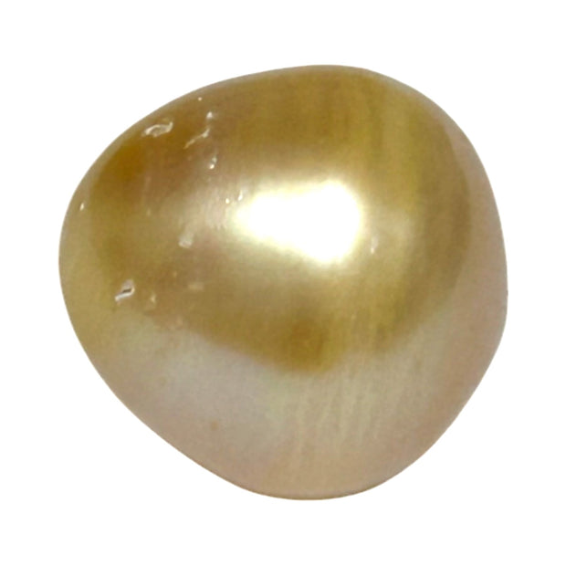 Oval Drop 16.1 x 16.4mm 29.2 Carats Rich Gold South Sea Pearl Loose