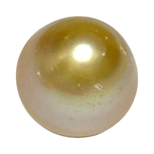 Oval Drop 16.1 x 16.4mm 29.2 Carats Rich Gold South Sea Pearl Loose