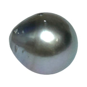 Tahitian Sea Middle Gray Loose Pearl Drop 14.8 Carat 12.1 x 13.3mm