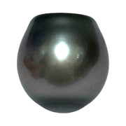 Huge Oval 11.9 x 12.5mm Peacock Gray Green Tahitian Sea Pearl Loose