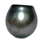 Huge Oval 11.9 x 12.5mm Peacock Gray Green Tahitian Sea Pearl Loose