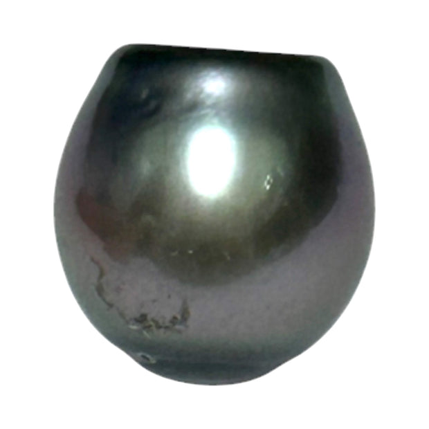 Huge Oval 11.9 x 12.5mm Peacock Gray Green Tahitian Sea Pearl Loose