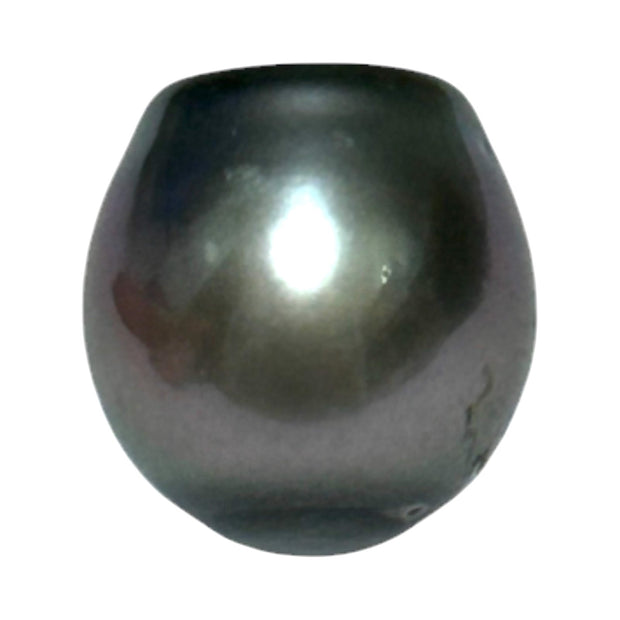 Huge Oval 11.9 x 12.5mm Peacock Gray Green Tahitian Sea Pearl Loose