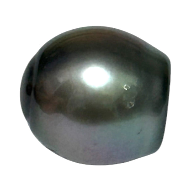 Huge Oval 11.9 x 12.5mm Peacock Gray Green Tahitian Sea Pearl Loose