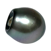 Huge Oval 11.9 x 12.5mm Peacock Gray Green Tahitian Sea Pearl Loose