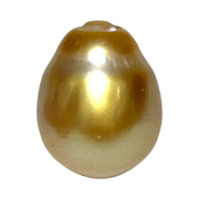 RARE Giant 15 x 19mm 29.6 Carats Deep Gold South Sea Loose Pearl