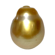 RARE Giant 15 x 19mm 29.6 Carats Deep Gold South Sea Loose Pearl