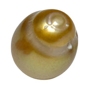 RARE Giant 15 x 19mm 29.6 Carats Deep Gold South Sea Loose Pearl