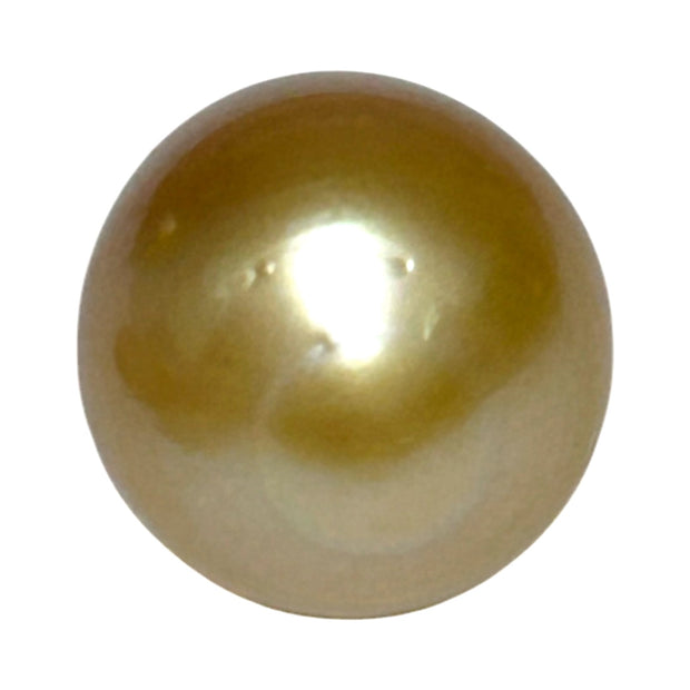 RARE Giant 15 x 19mm 29.6 Carats Deep Gold South Sea Loose Pearl