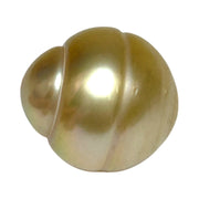 RARE Giant 17.3 x 19mm 38.6 Carat Rich Gold South Sea Loose Pearl