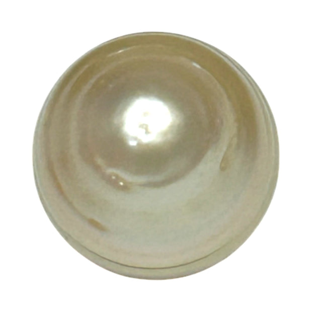 Ornat Oval 13.1 x 16.6mm Natural Pale Gold South Sea Pearl Loose