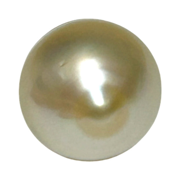 Ornat Oval 13.1 x 16.6mm Natural Pale Gold South Sea Pearl Loose