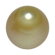 Enormous 14.7 x 16.3mm 25.6 Carat Lush Gold South Sea Pearl