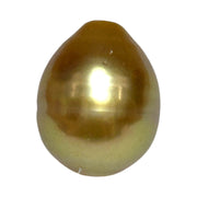 Giant 5A Luster 13.3 x 16.8mm Deep Gold Philippine South Sea Pearl