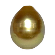 Giant 5A Luster 13.3 x 16.8mm Deep Gold Philippine South Sea Pearl