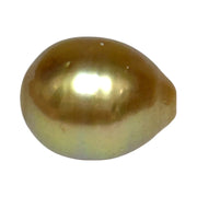 Giant 5A Luster 13.3 x 16.8mm Deep Gold Philippine South Sea Pearl