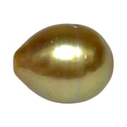 Giant 5A Luster 13.3 x 16.8mm Deep Gold Philippine South Sea Pearl