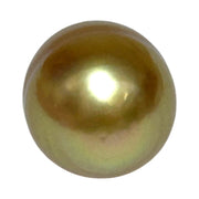 Giant 5A Luster 13.3 x 16.8mm Deep Gold Philippine South Sea Pearl