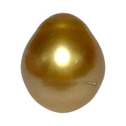 RARE Oval 15.7 x 18.7mm 30.6 Carats Deep Gold South Sea Pearl Loose