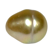 Oval Drop 14.5 x 17.5mm 26.4 Carats Deep Gold South Sea Loose Pearl