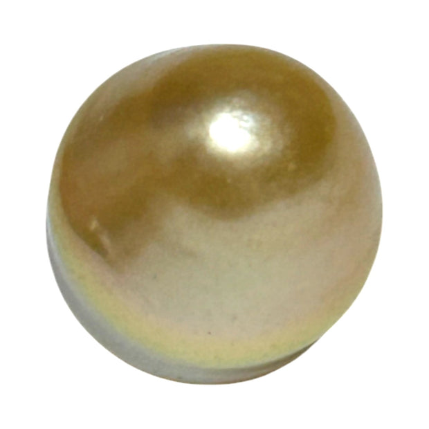 Oval Drop 14.5 x 17.5mm 26.4 Carats Deep Gold South Sea Loose Pearl