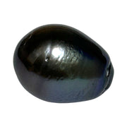 Delicate 13 x 16.6mm 19.6 Carats Peacock Black Blue Tahitian Pearl