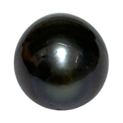 Delicate 13 x 16.6mm 19.6 Carats Peacock Black Blue Tahitian Pearl