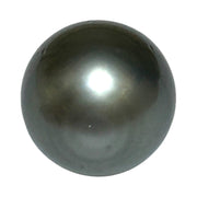 Radiant 21 Carat 13.9x 15.5mm Tahitian Peacock Middle Gray Pearl