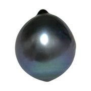 Huge 18.4 Carat 13.3 x 15.7mm Tahitian Peacock Black Blue Loose Pearl