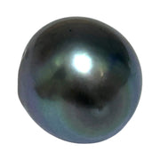 Huge 18.4 Carat 13.3 x 15.7mm Tahitian Peacock Black Blue Loose Pearl