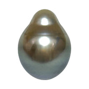 Glorious 14.6 Carat 12 x 15.7mm Tahitian Peacock Grey Green Drop Pearl