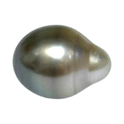 Glorious 14.6 Carat 12 x 15.7mm Tahitian Peacock Grey Green Drop Pearl