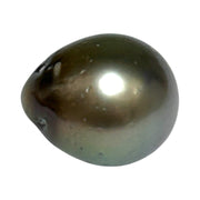 Glorious 21.8 Carat 13.8 x 16.3mm Tahitian Sea Peacock Gray Green Pearl