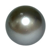 Glorious 21.8 Carat 13.8 x 16.3mm Tahitian Sea Peacock Gray Green Pearl