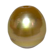 Fantastic Giant 14.5 x 15.7mm 24.6 Carats Deep Gold South Sea Pearl