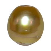 Fantastic Giant 14.5 x 15.7mm 24.6 Carats Deep Gold South Sea Pearl