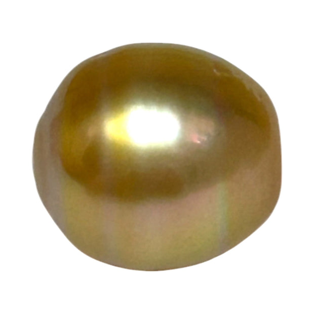 Fantastic Giant 14.5 x 15.7mm 24.6 Carats Deep Gold South Sea Pearl