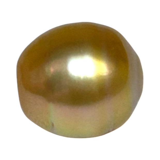 Fantastic Giant 14.5 x 15.7mm 24.6 Carats Deep Gold South Sea Pearl