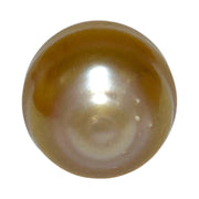 Fantastic Giant 14.5 x 15.7mm 24.6 Carats Deep Gold South Sea Pearl