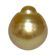 Dazzling Giant 14.9 x 16.8mm 24.7 Carats Rich Gold South Sea Pearl