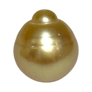 Dazzling Giant 14.9 x 16.8mm 24.7 Carats Rich Gold South Sea Pearl