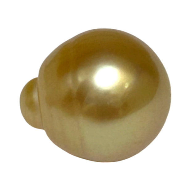 Dazzling Giant 14.9 x 16.8mm 24.7 Carats Rich Gold South Sea Pearl