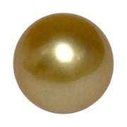 Dazzling Giant 14.9 x 16.8mm 24.7 Carats Rich Gold South Sea Pearl