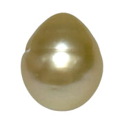 Giant Smooth 15 x 17.9mm 27.8 Carats Gold South Sea Teardrop Pearl