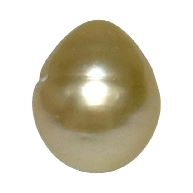 Giant Smooth 15 x 17.9mm 27.8 Carats Gold South Sea Teardrop Pearl