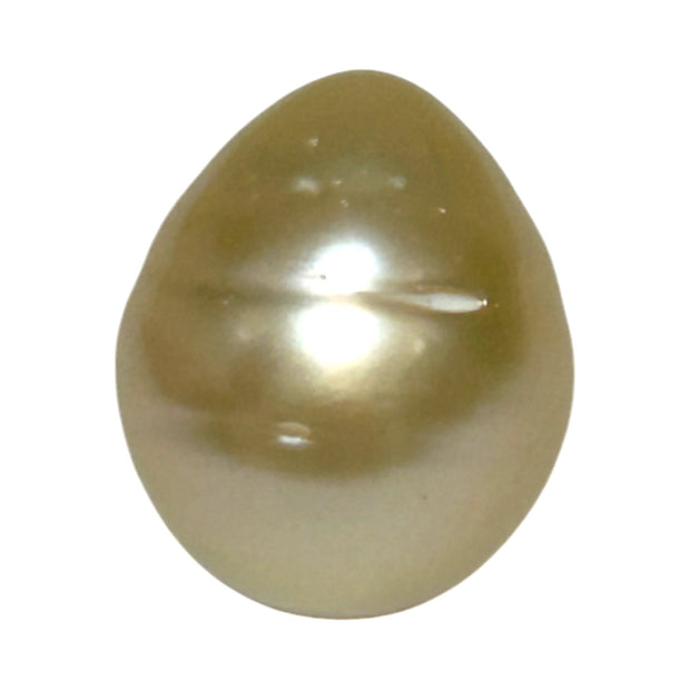 Giant Smooth 15 x 17.9mm 27.8 Carats Gold South Sea Teardrop Pearl