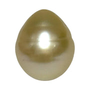 Giant Smooth 15 x 17.9mm 27.8 Carats Gold South Sea Teardrop Pearl