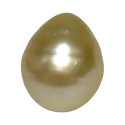 Giant Smooth 15 x 17.9mm 27.8 Carats Gold South Sea Teardrop Pearl